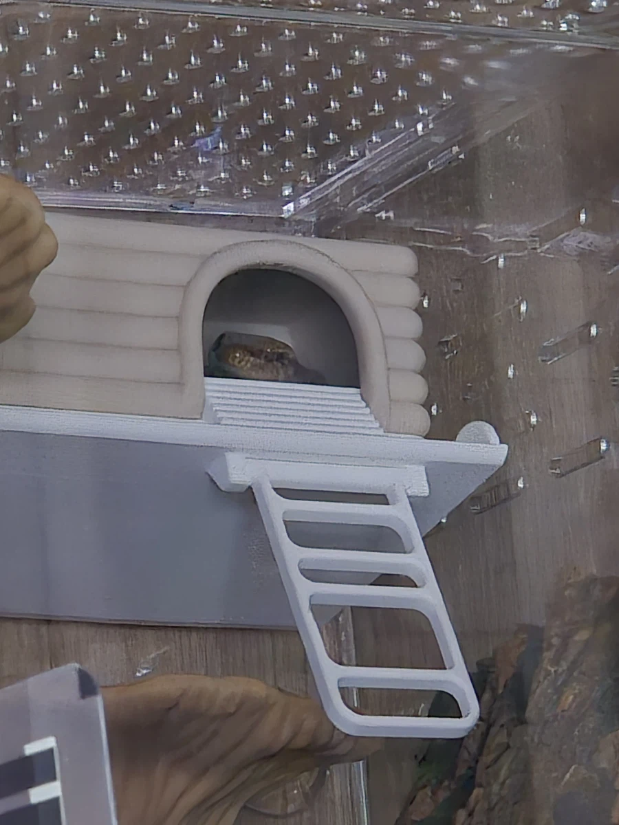 피게)아씨 얄미운 시키 ㅋㅋㅋㅋ_1.webp