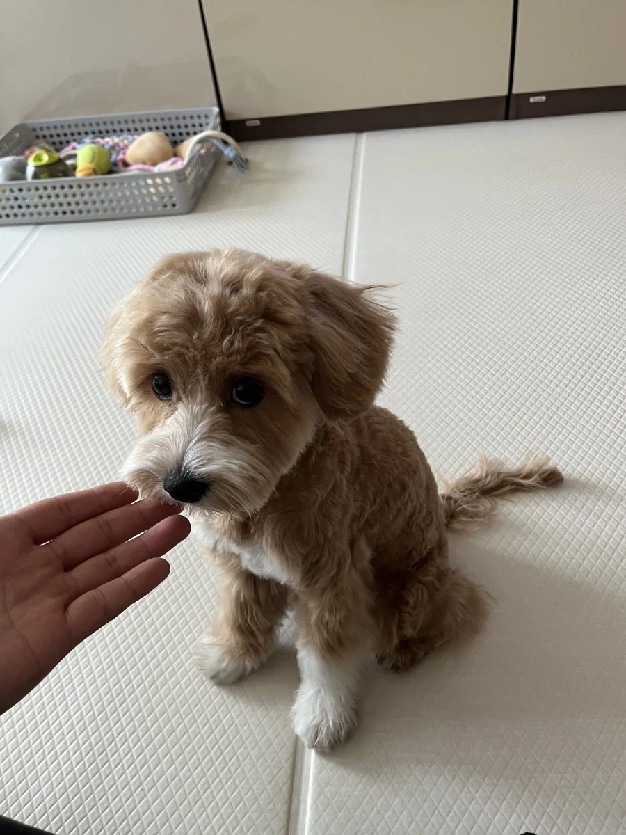 간만에 본가 가서 만나고 온_3.webp