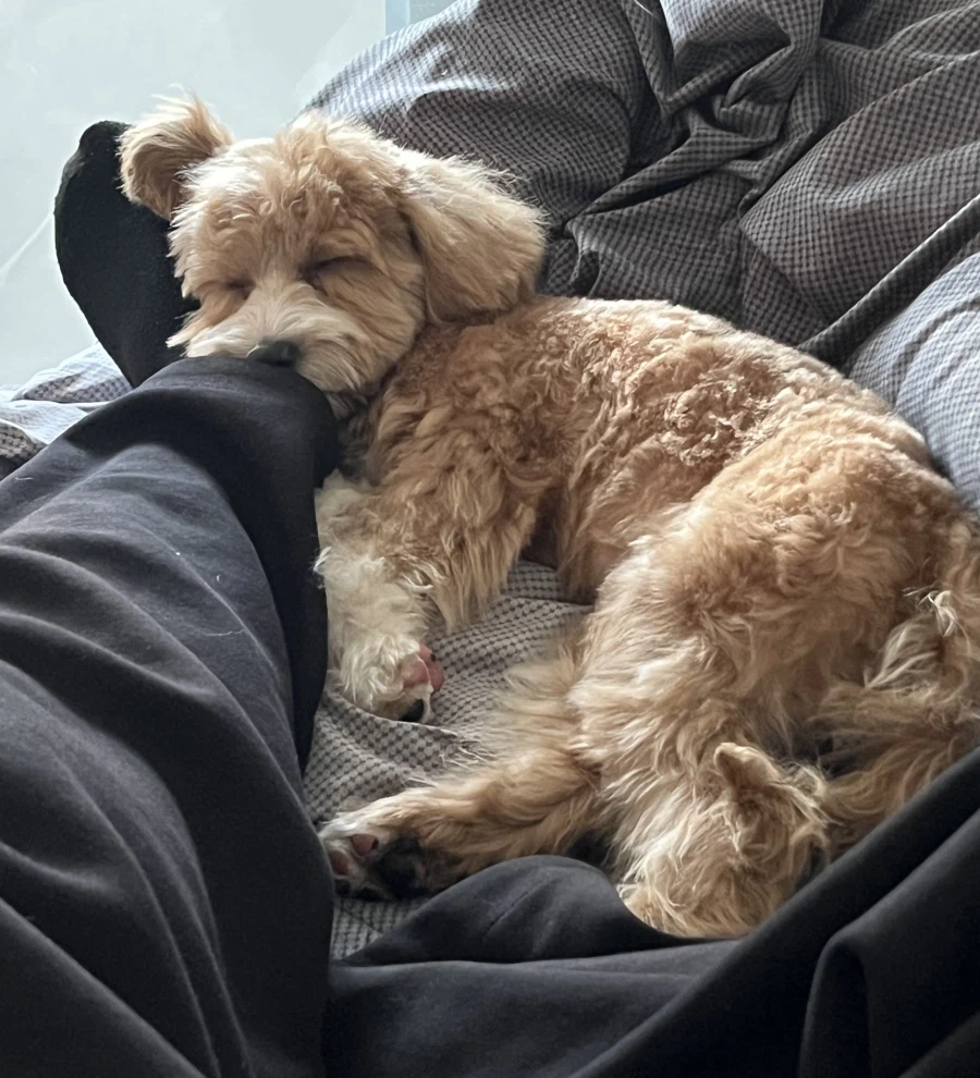 간만에 본가 가서 만나고 온_12.webp