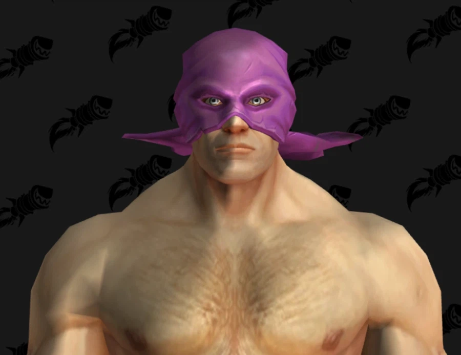 와우 2월 교역소 미공개 아이템 및 2주년 월간 보상 모음_16.webp