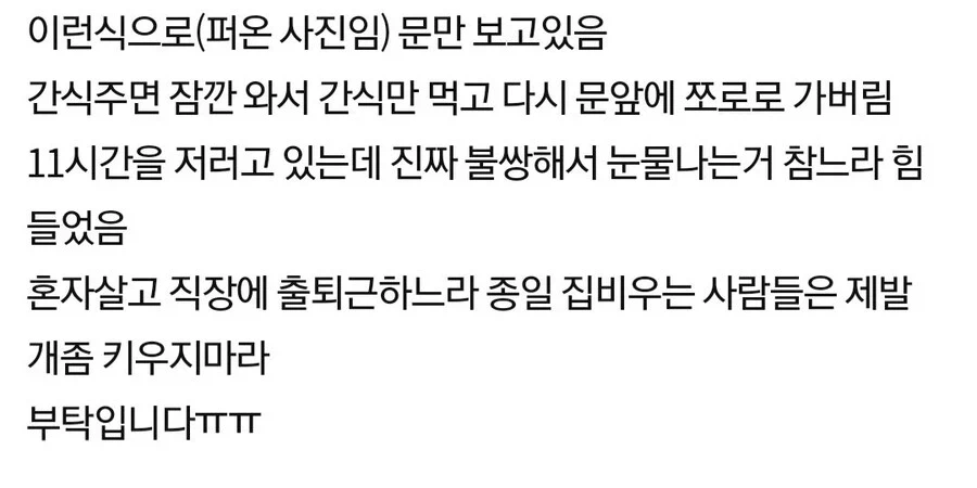 회사에 출퇴근하는 1인가구는 개 키우지 마라._3.webp