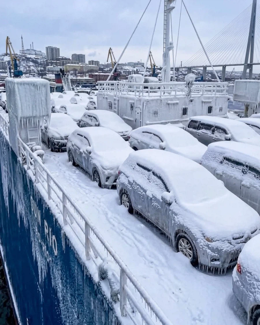 냉동고처럼 도착한 일본발 차량들.._2.webp