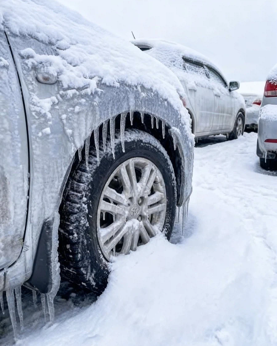 냉동고처럼 도착한 일본발 차량들.._4.webp