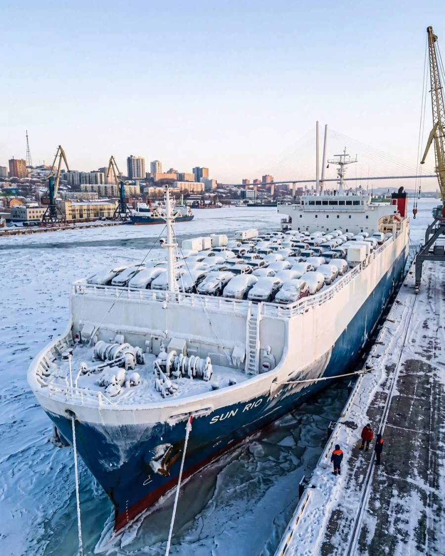 냉동고처럼 도착한 일본발 차량들.._5.webp