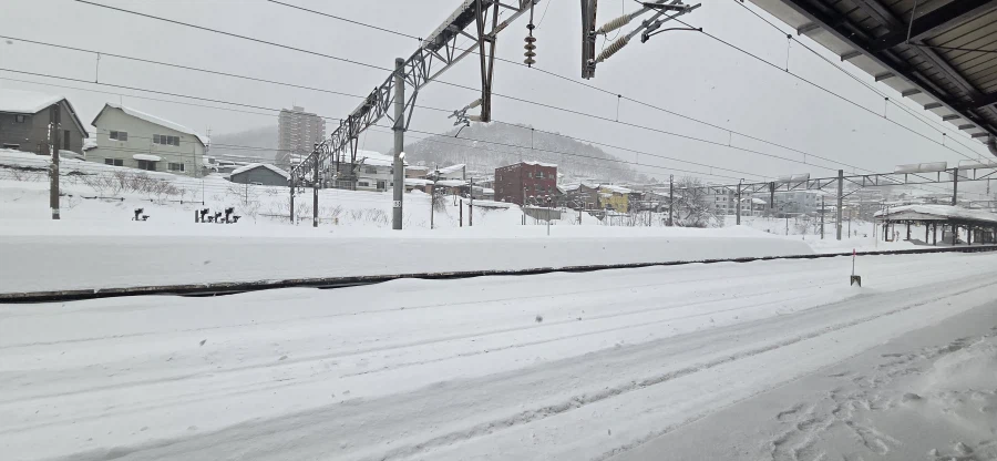 눈이 보기 싫었던 삿포로-홋카이도 탈출기_28.webp