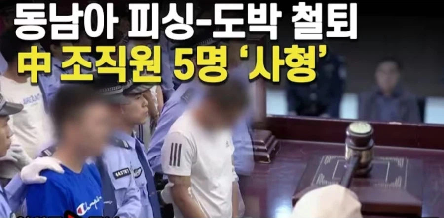 요즘 중국에서 사형집행이 급증하는 이유_3.webp