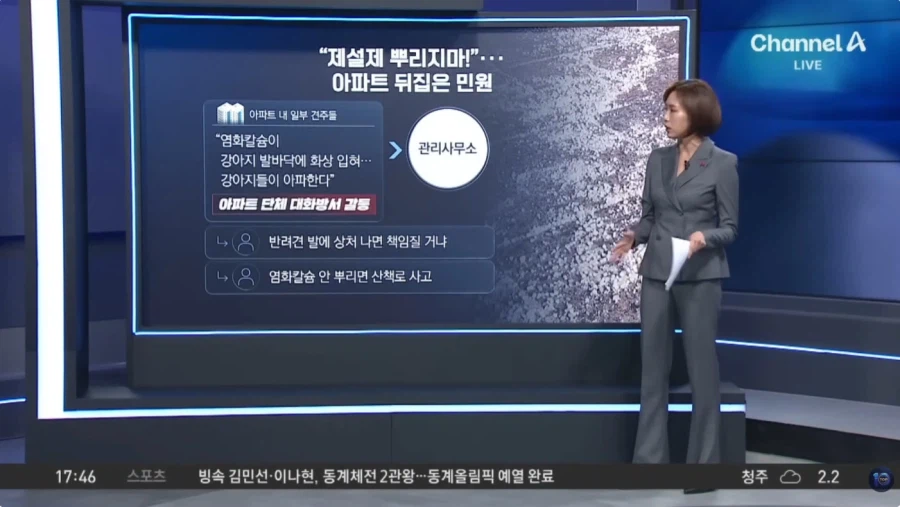 눈 와도 염화칼슘 뿌리지 말라는 사람들_1.webp