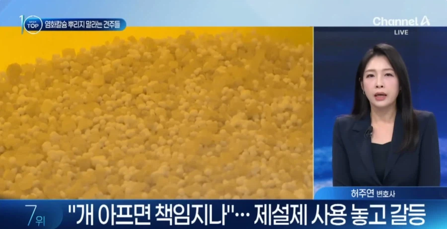 눈 와도 염화칼슘 뿌리지 말라는 사람들_4.webp