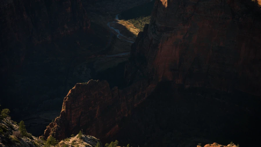 회사 가기 싫어서 퓨마 있는 캐년속으로 간 아재 썰 ㅋㅋㅋ_4.webp