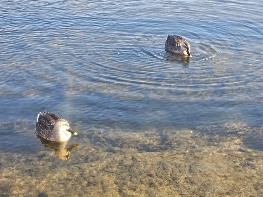 경주여행 후기_29.webp