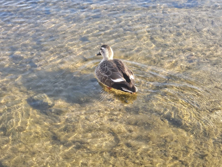 경주여행 후기_28.webp