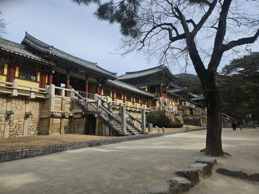 경주여행 후기_35.webp