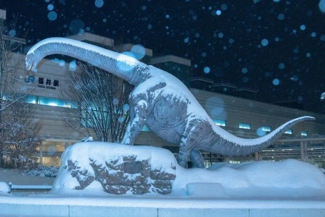 폭설에 파뭍힌 일본 공룡 박물관_2.webp