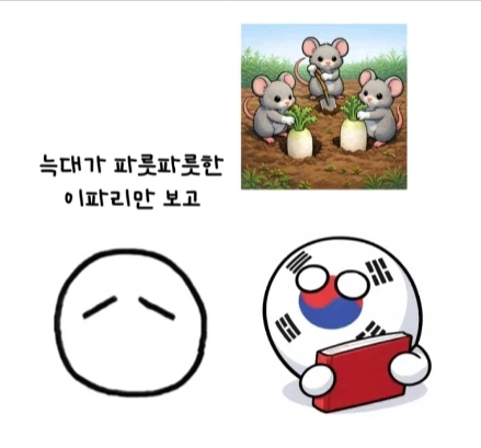 한국에서 외국동화 번역하기 힘들었던 이유.jpg_9.webp