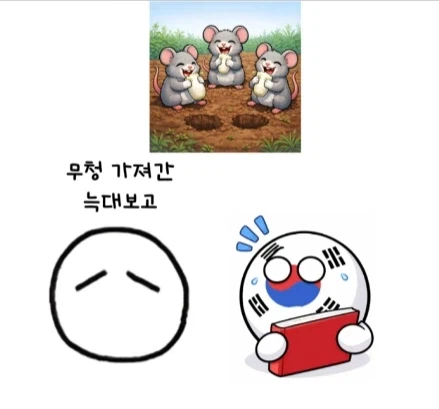 한국에서 외국동화 번역하기 힘들었던 이유.jpg_23.webp