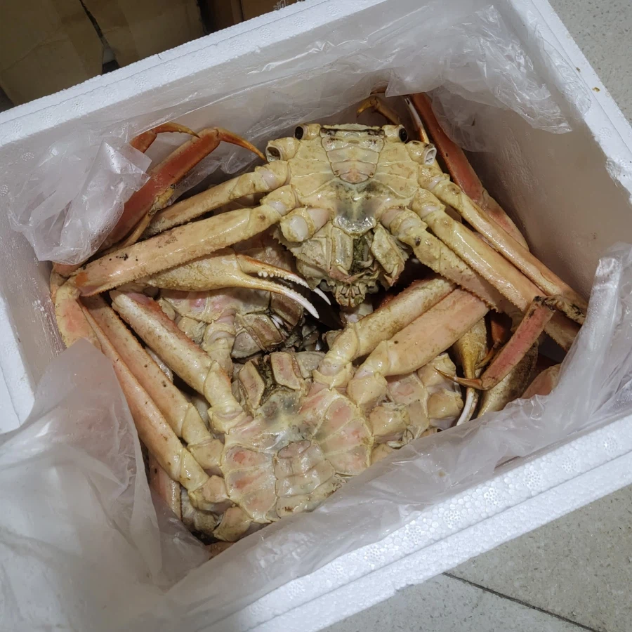 대게 싸게 대게 먹었습니다._3.webp