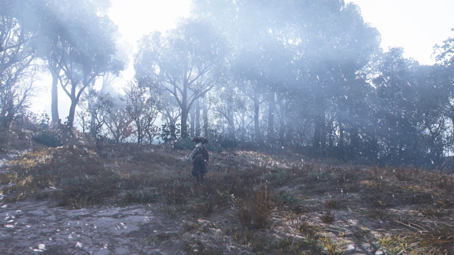 낭만 있는 여행 어쌔신크리드 섀도우스_9.webp