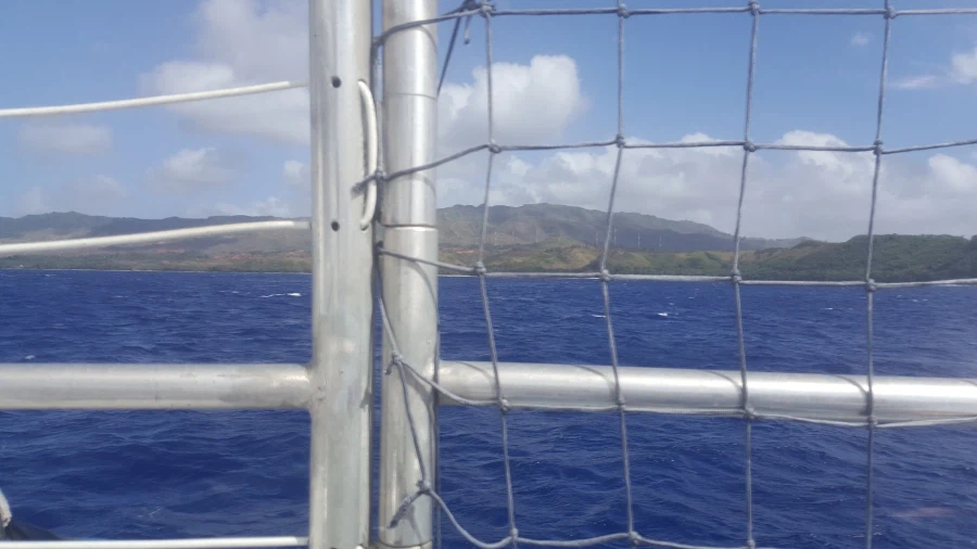 [돼억시니] 괌에서 먹은 코코넛크랩_4.webp