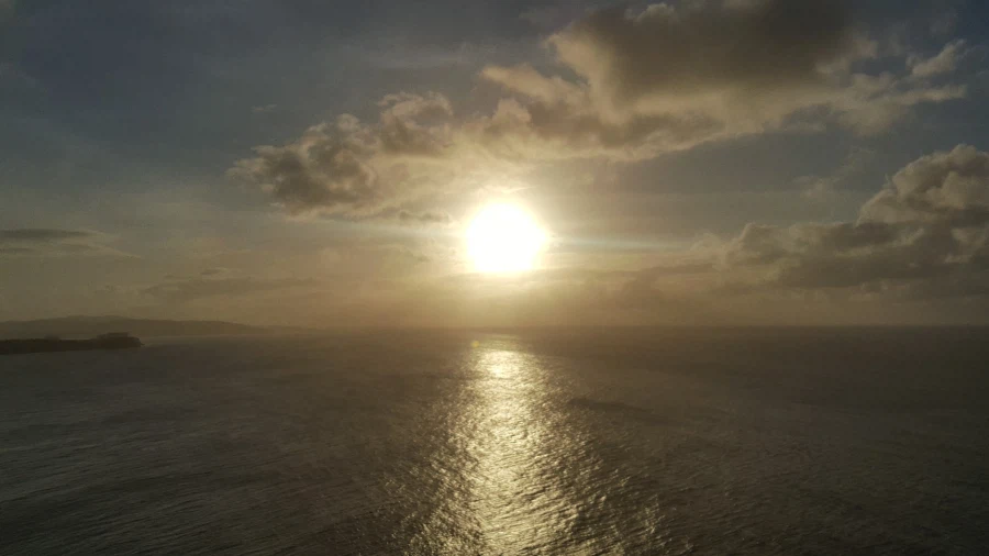 [돼억시니] 괌에서 먹은 코코넛크랩_5.webp