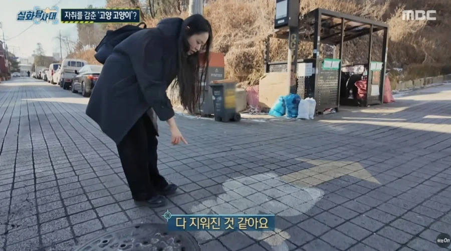 고양시의 마스코트 근황_2.webp