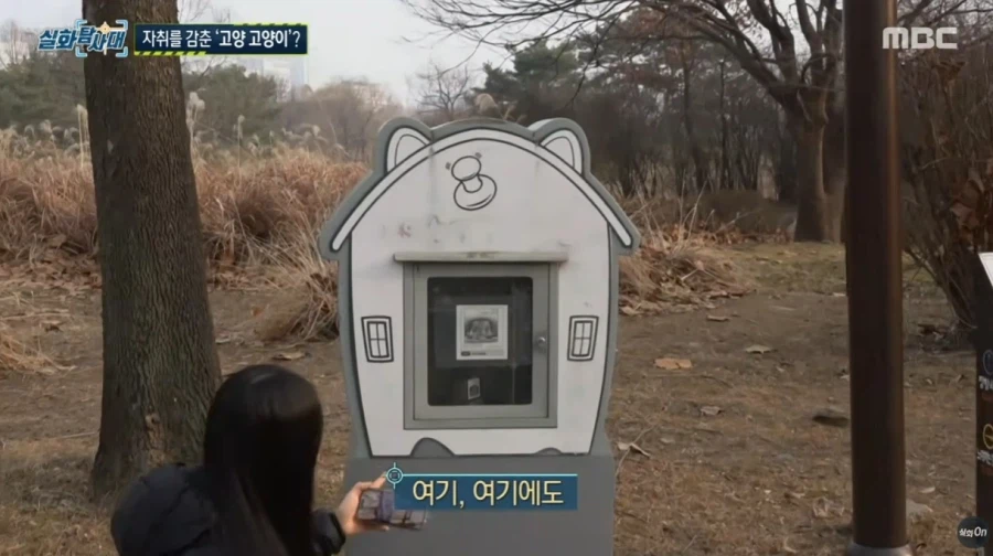 고양시의 마스코트 근황_3.webp