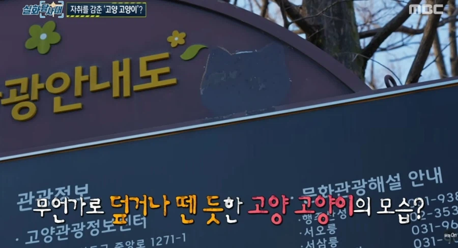 고양시의 마스코트 근황_8.webp