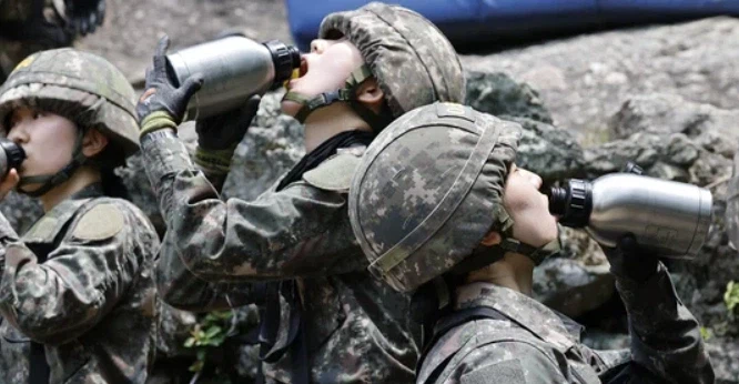 늙은 유게이들은 모르는 최신 한국군 정보_2.webp