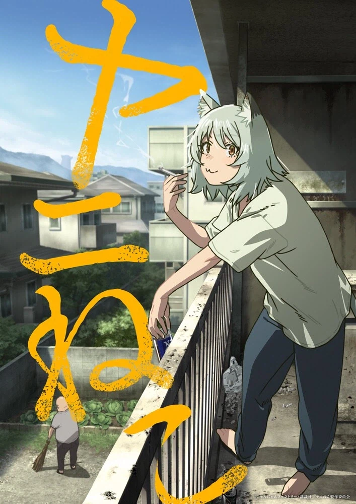 야니네코 애니화_2.webp