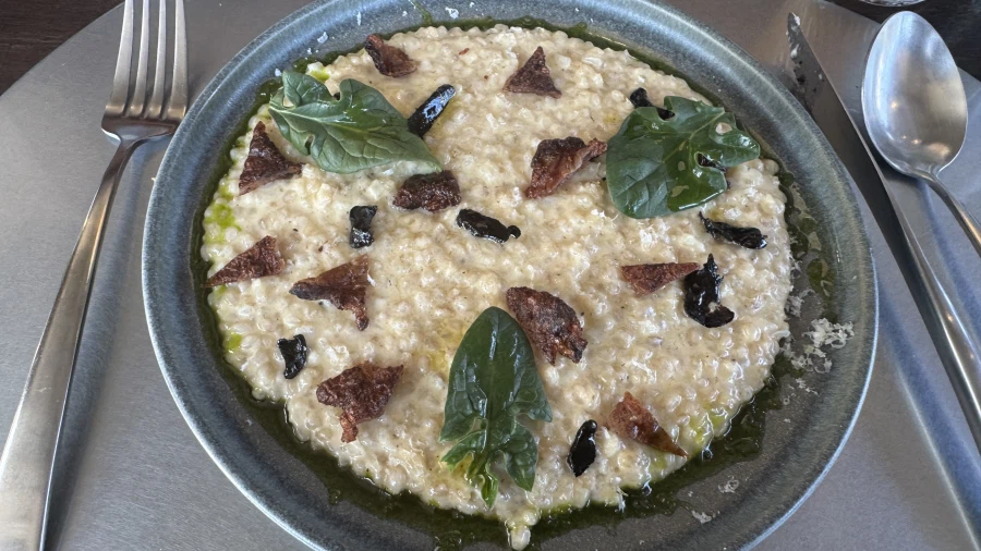 성심당도 태평소도 없는 대전 먹자 여행_17.webp