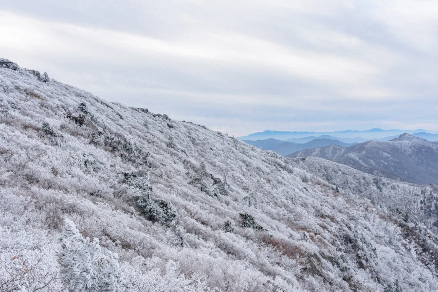 SEL2470GM2 | 겨울 왕국으로 떠나는 가장 완벽한 준비_1.webp