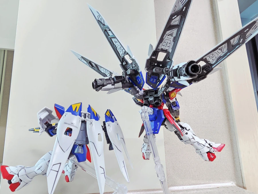 윙제로와 알제로_20.webp