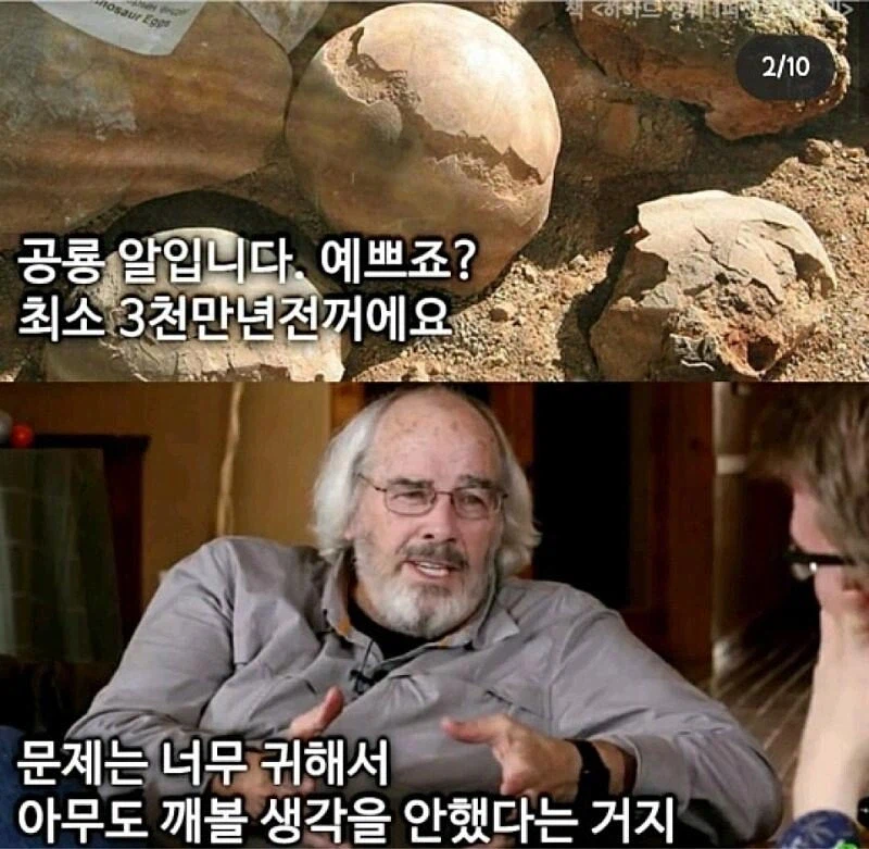 공룡 알을 박살낸 유명 고생물학자 근황_1.webp