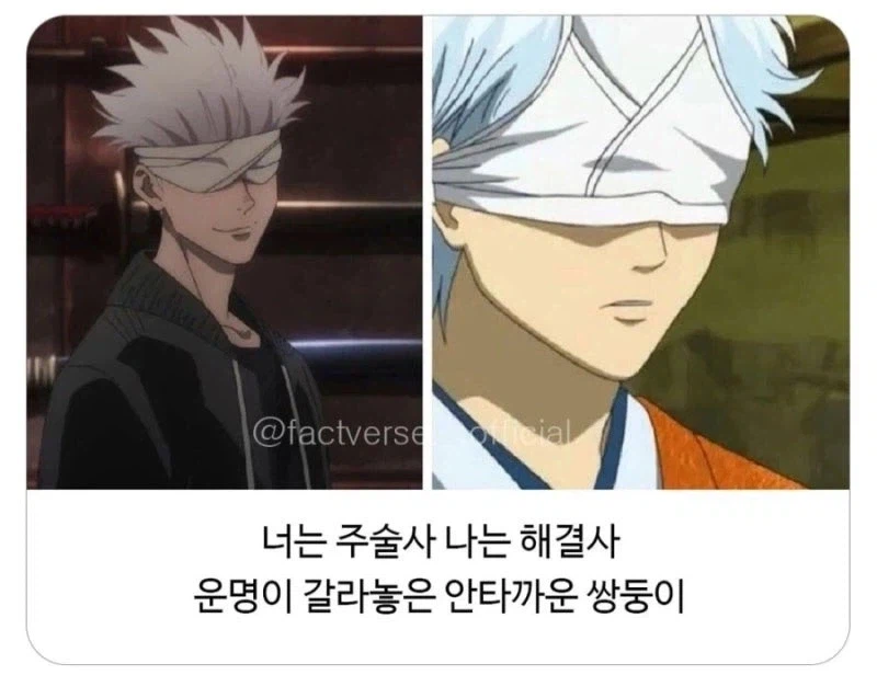 운명이 갈라놓은 안타까운 쌍둥이.jpg_9.webp