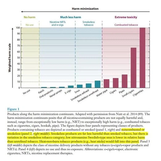 전담 몸에 안 좋은데 연초보다 나은건 사실 아님?_1.webp