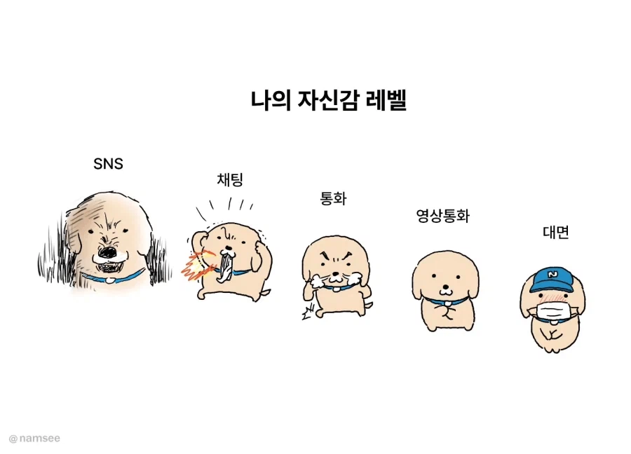 의사소통 수단 별 자신감 수준_1.webp