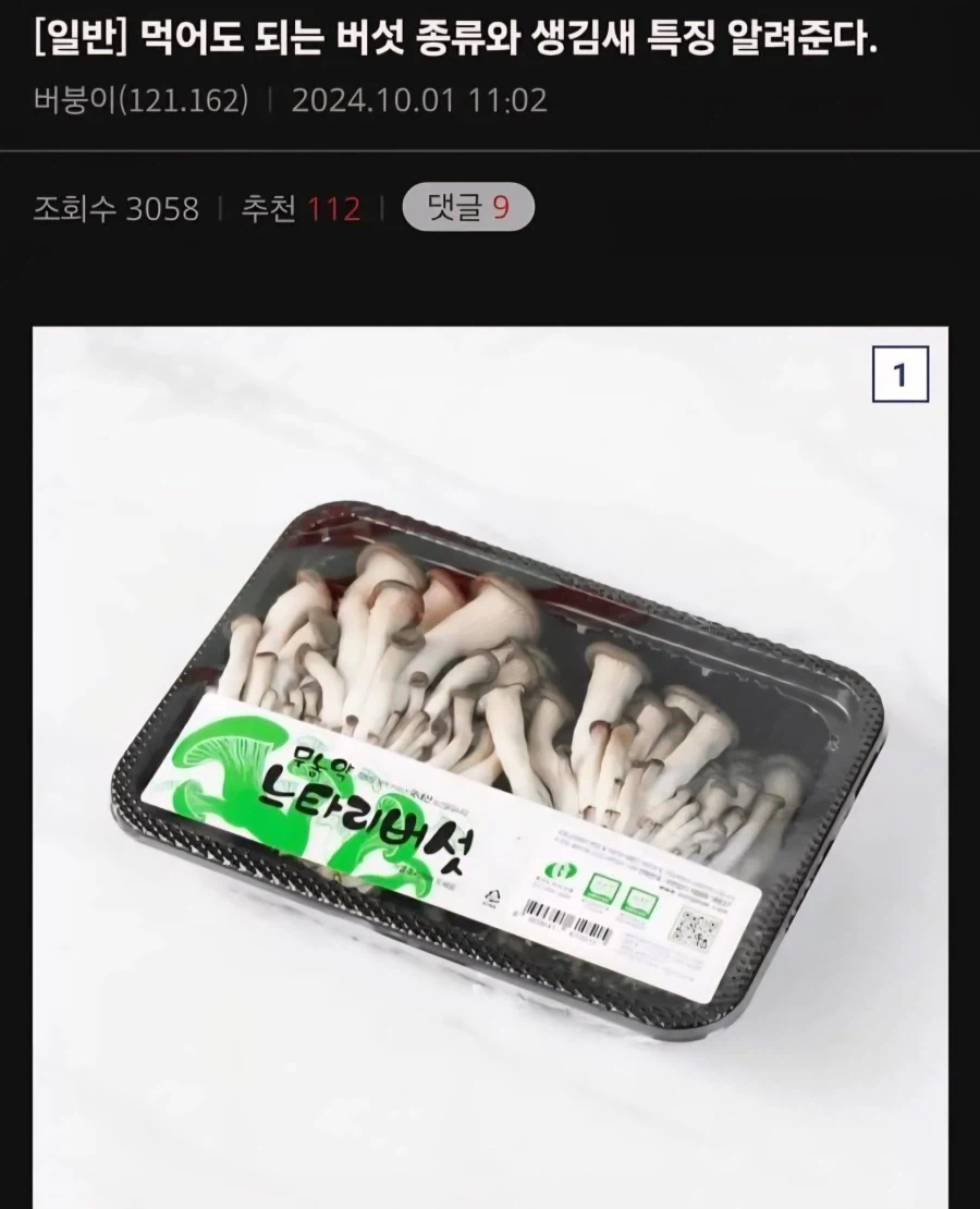 전문가가 알려주는 식용버섯 특징_1.webp