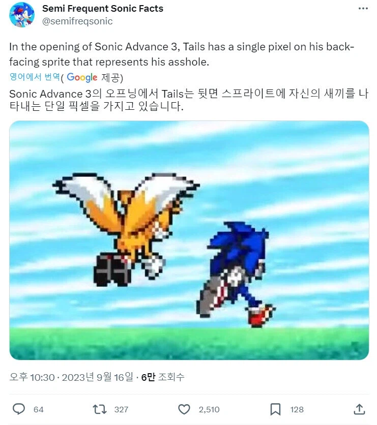 소닉) 소닉 게임의 수상한 1픽셀.jpg_1.webp