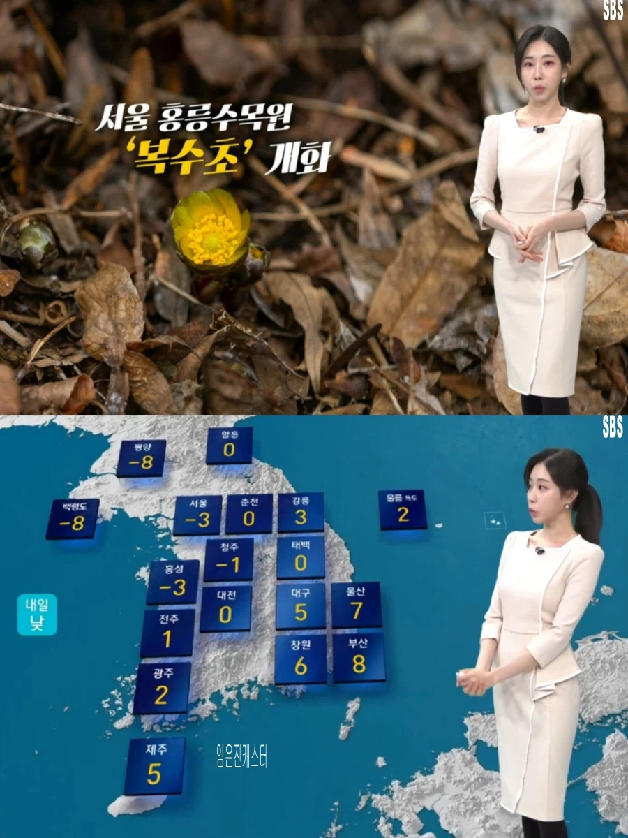 내일부터 다시 강추위(주말까지 강한 한파, 울릉도 독도 오후 눈)_22.webp