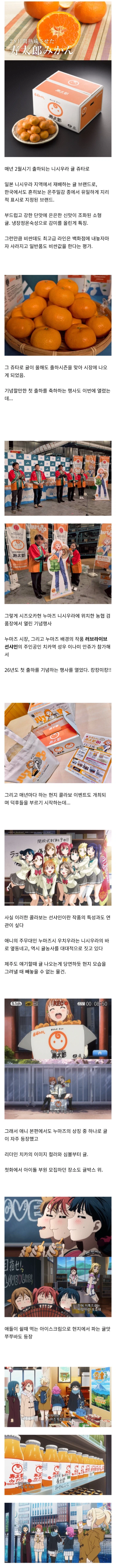 온라인 예약열리자마자 매진됏다는 고급 일본 귤_1.webp