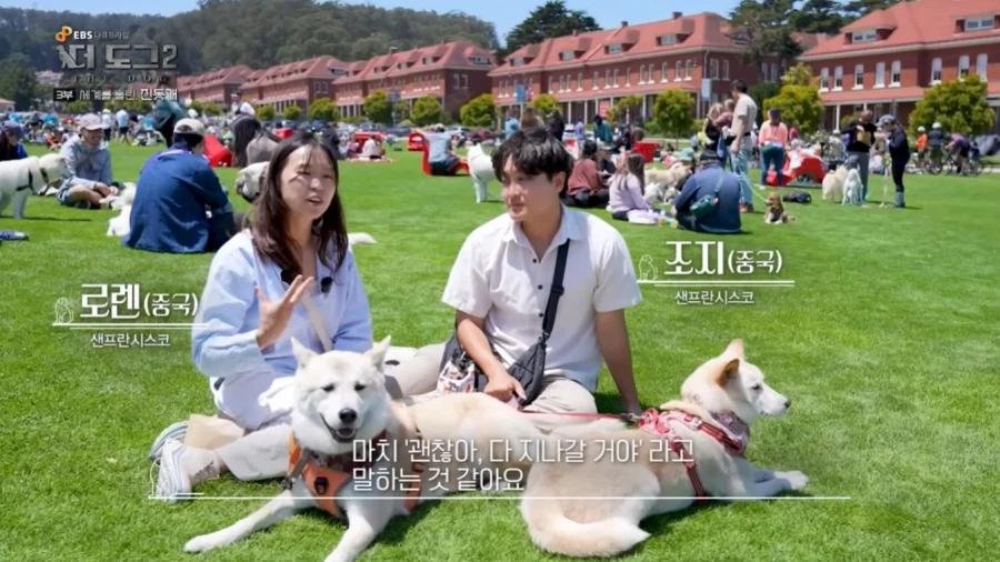 진돗개가 맘에든다는 외국 견주들.jpg_4.webp