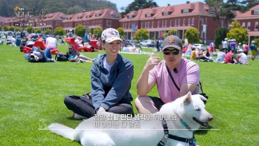 진돗개가 맘에든다는 외국 견주들.jpg_12.webp