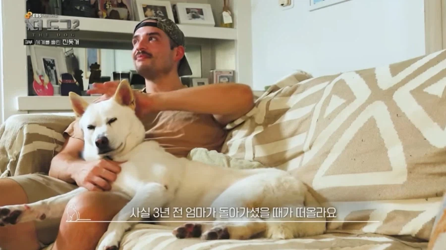 진돗개가 맘에든다는 외국 견주들.jpg_14.webp