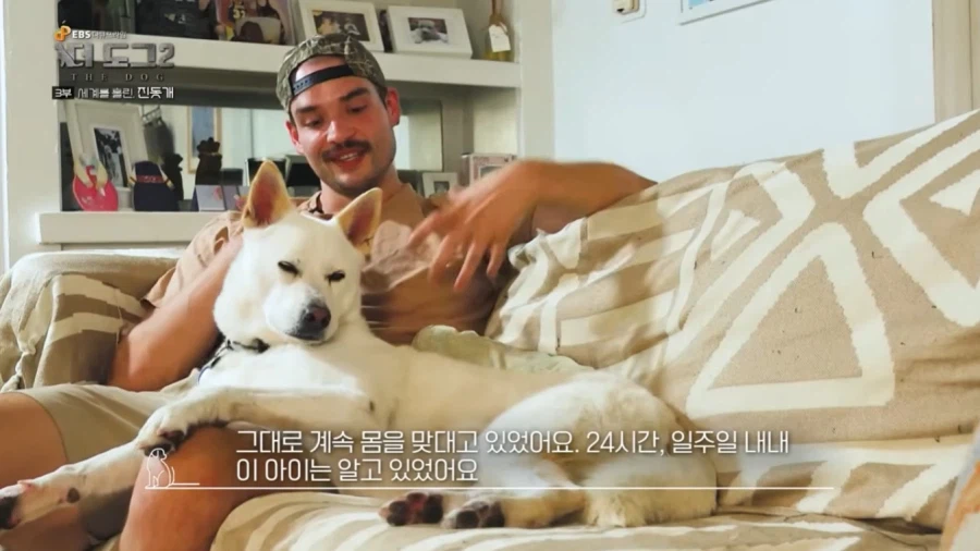 진돗개가 맘에든다는 외국 견주들.jpg_17.webp