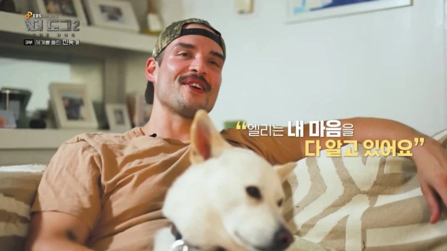 진돗개가 맘에든다는 외국 견주들.jpg_18.webp