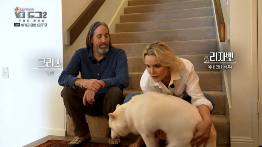 진돗개가 맘에든다는 외국 견주들.jpg_19.webp