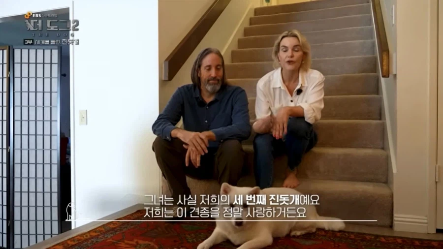 진돗개가 맘에든다는 외국 견주들.jpg_21.webp