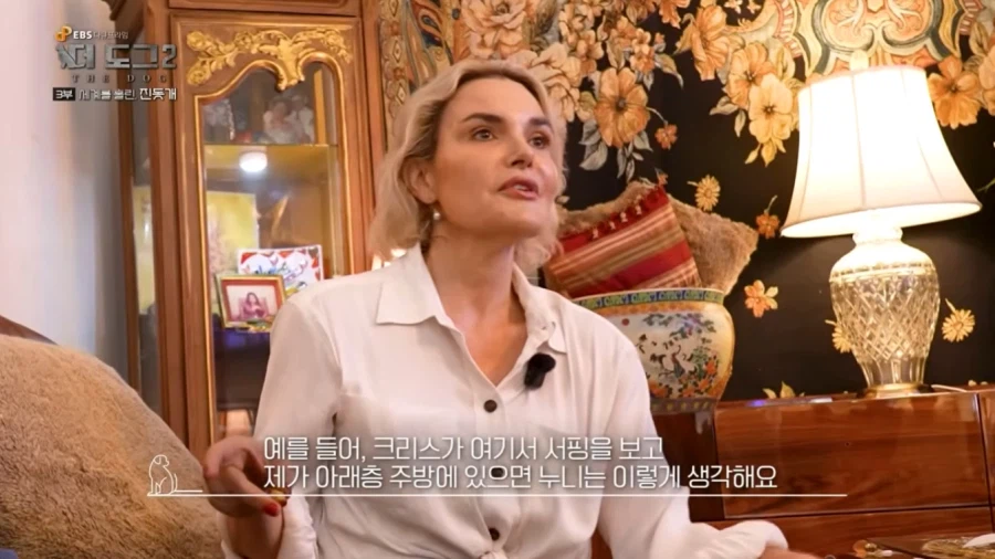 진돗개가 맘에든다는 외국 견주들.jpg_22.webp