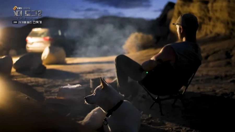 진돗개가 맘에든다는 외국 견주들.jpg_30.webp