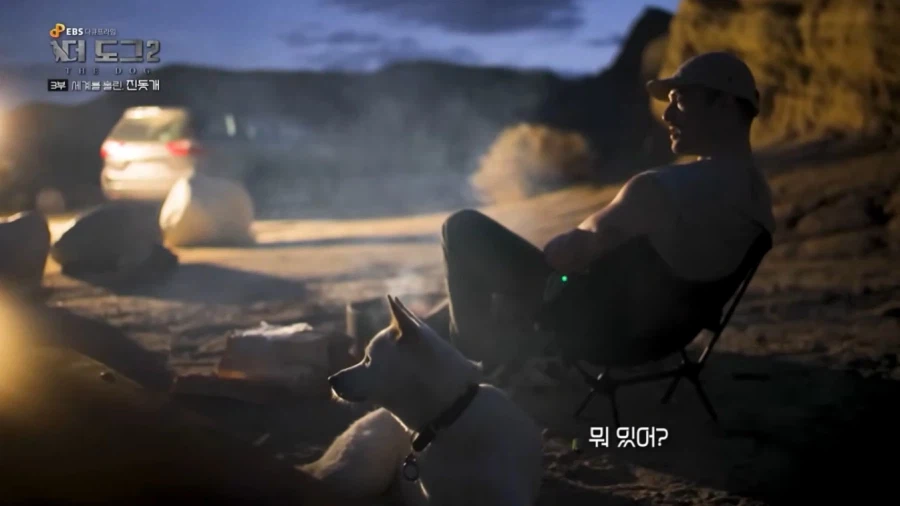 진돗개가 맘에든다는 외국 견주들.jpg_31.webp