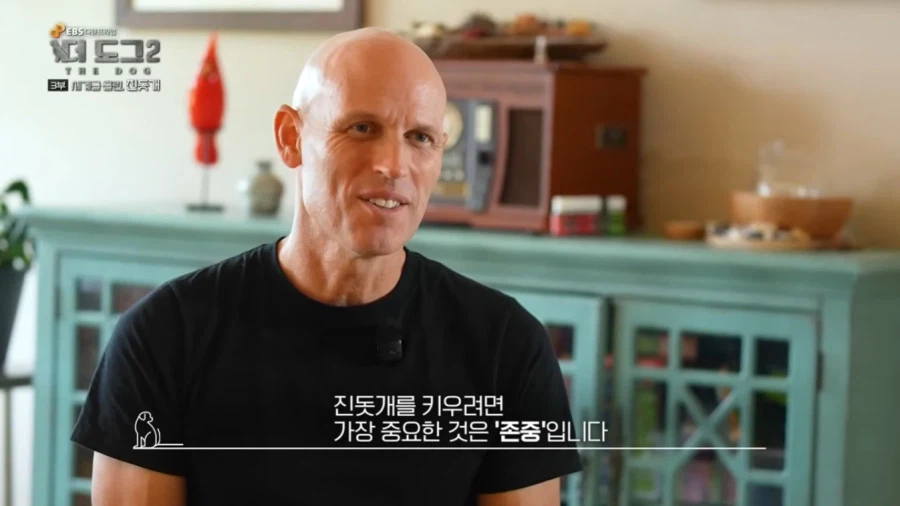 진돗개가 맘에든다는 외국 견주들.jpg_37.webp